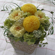 �z���C�g�f�[