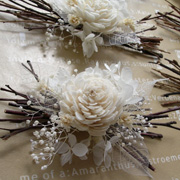 �v�`�M�t�g