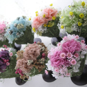 �v�`�M�t�g