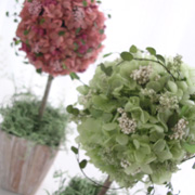 ��I�����e����p�̉�