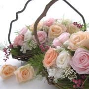 ��I�����e����p�̉�